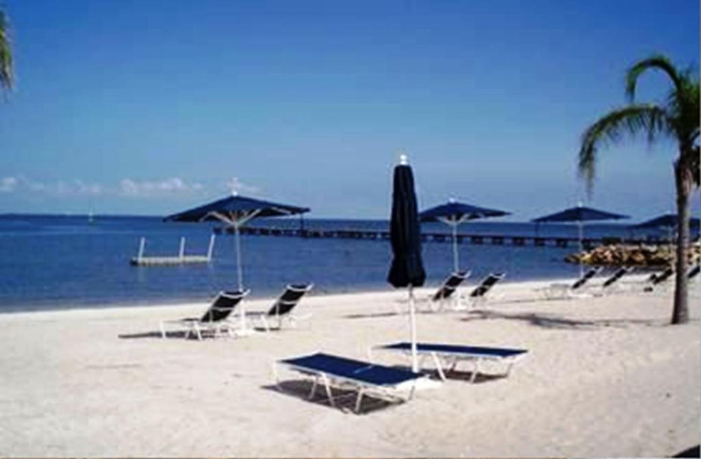 Harborside Suites At Little Harbor Ruskin Eksteriør billede
